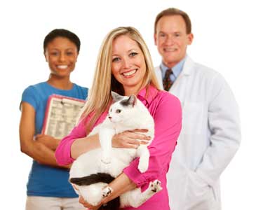 Prescription options for veterinarians