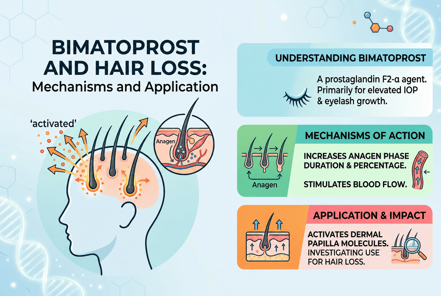 Bimatoprost and Hair Loss