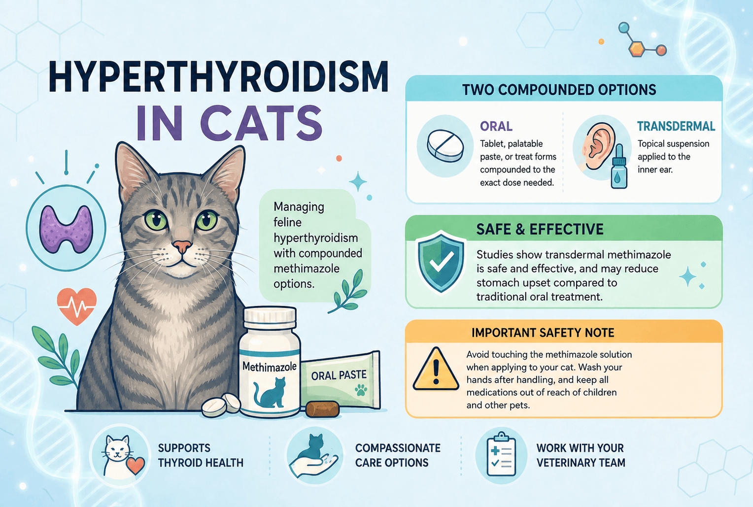 Hyperthyroidism in Cats