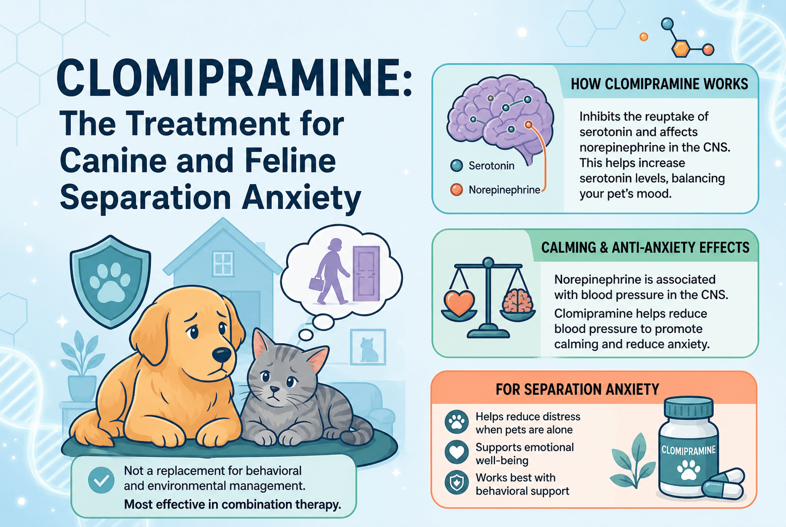 Clomipramine: The Treatment for Canine and Feline Separation Anxiety