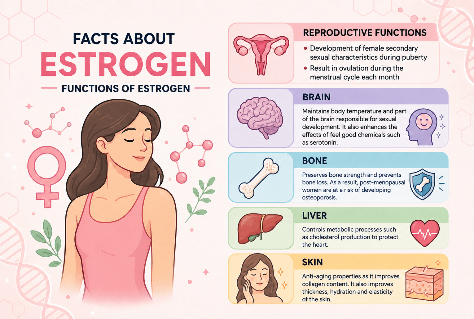 Facts About Estrogen