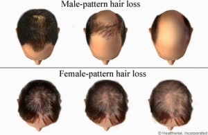 Hair Growth Cycle