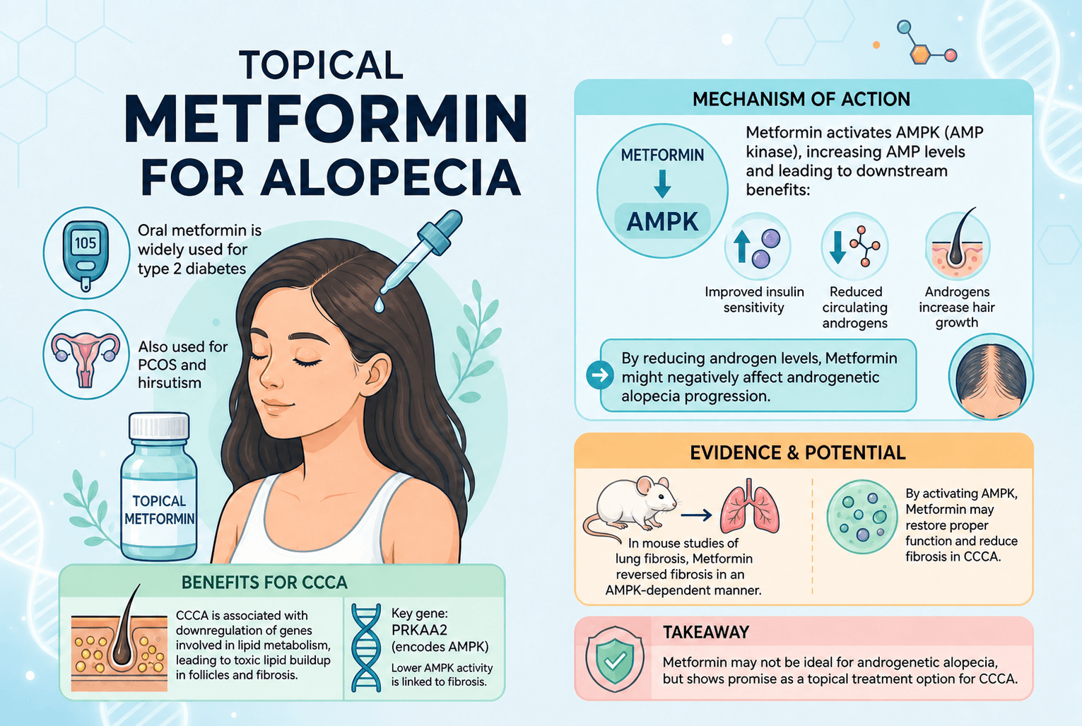 Topical Metformin for Alopecia