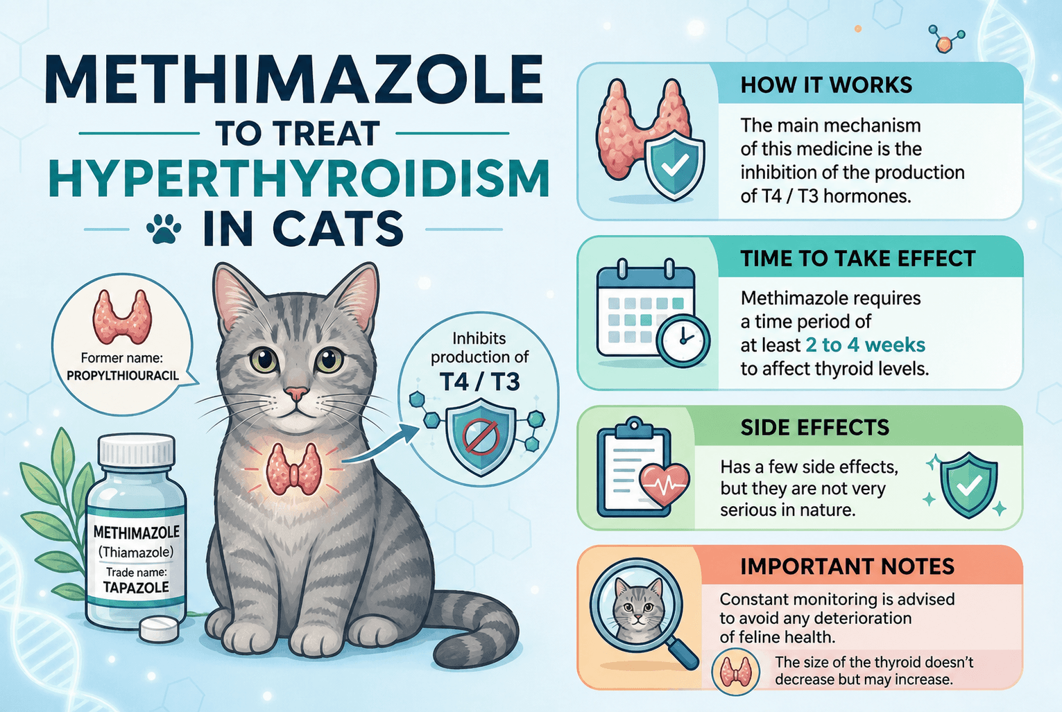 Methimazole to treat hyperthyroidism in cats