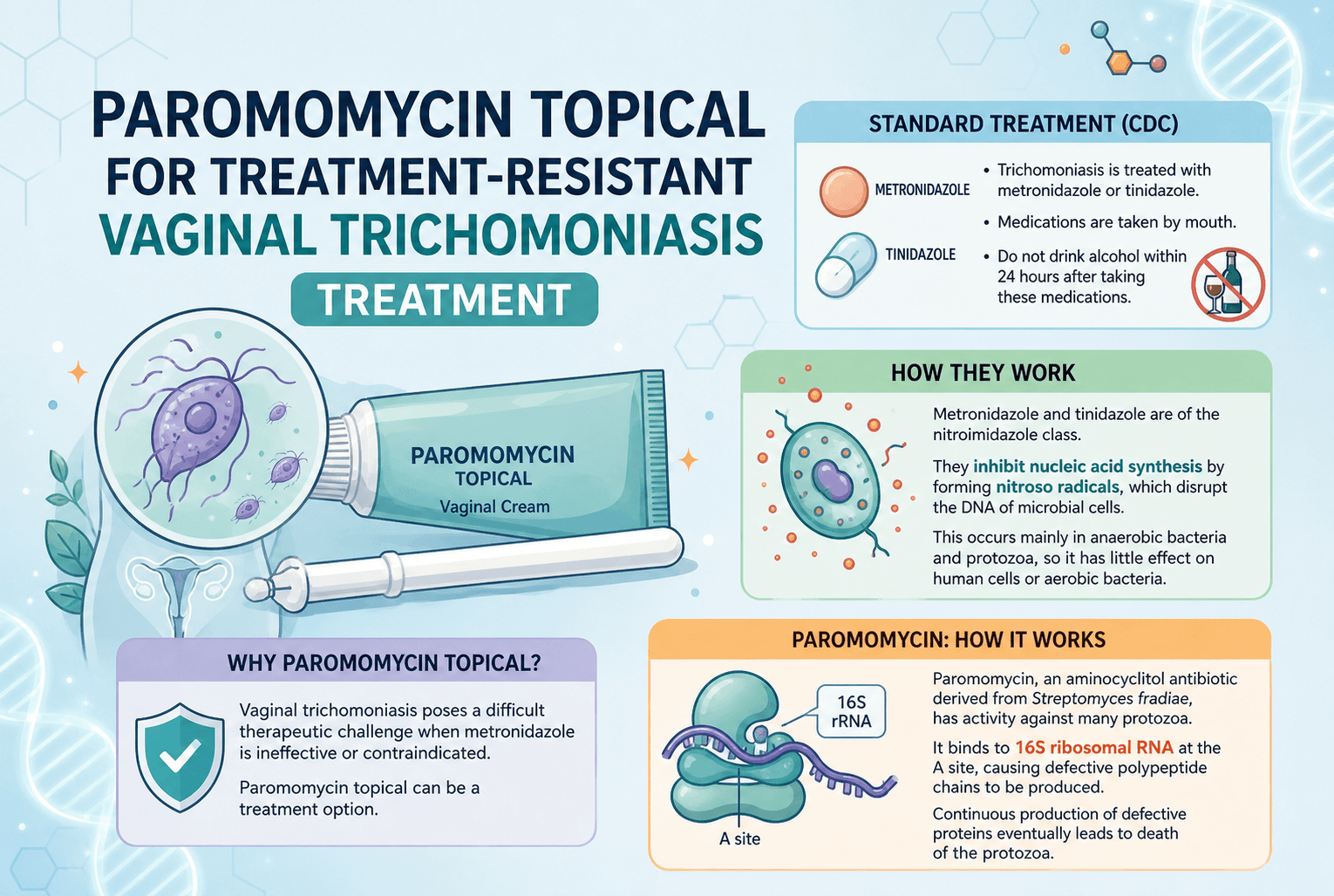 Paromomycin topical for treatment-resistant Vaginal Trichomoniasis