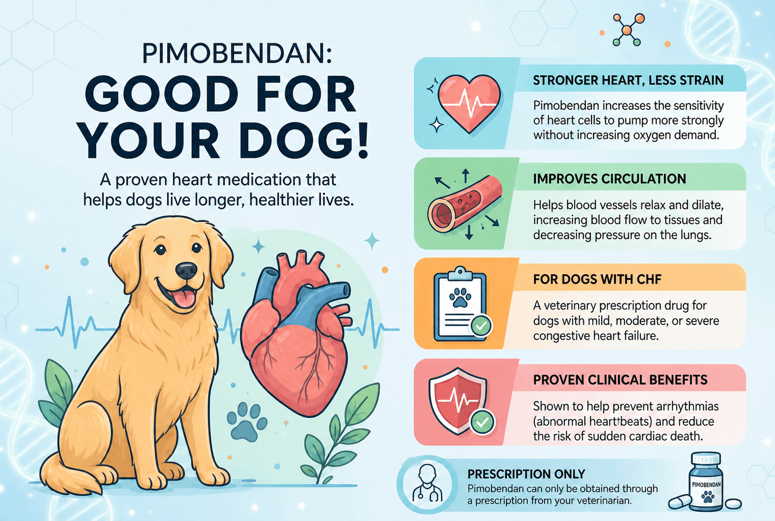 Pimobendan: Good for your dog!