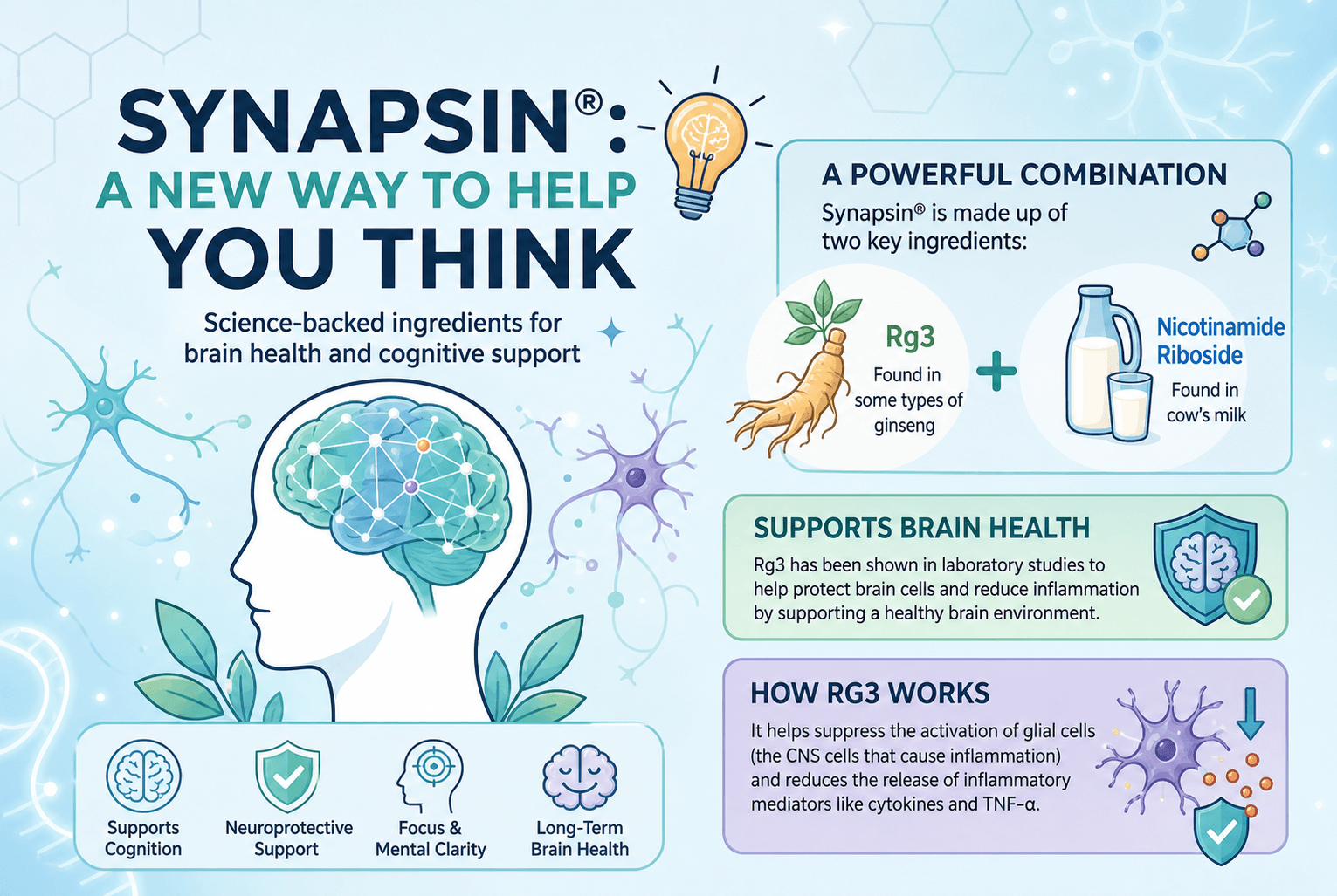 Synapsin®: A New Way to Help You Think
