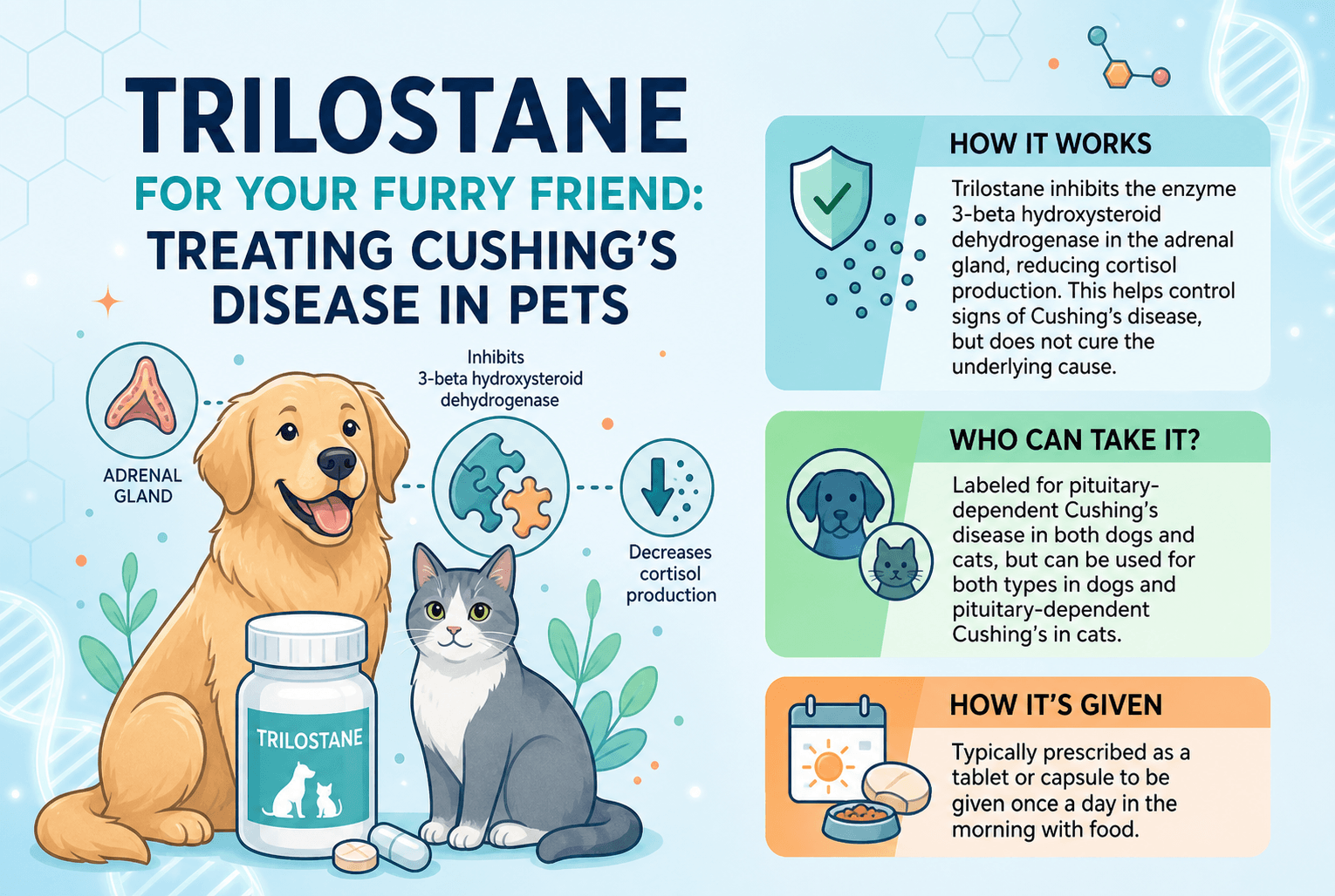 Trilostane for Your Furry Friend: Treating Cushing's Disease in Pets