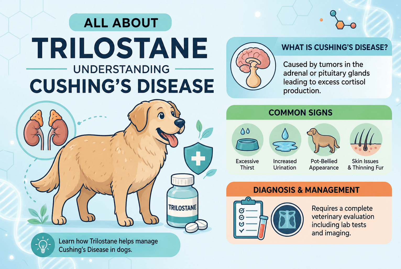 All About Trilostane - Understanding Cushing's Disease through Zayn's Journey